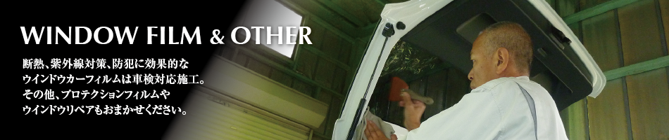 �h���z�C�[���R�[�e�B���O