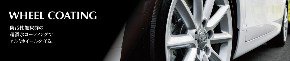 �h���z�C�[���R�[�e�B���O